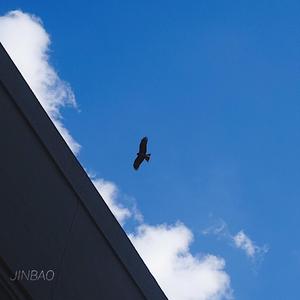 牛鞭弄入女人下身视频
