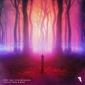 牛鞭弄入女人下身视频
