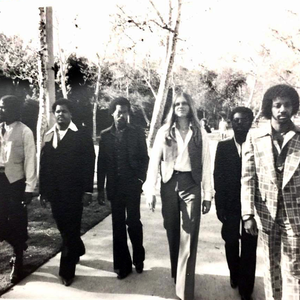 牛鞭弄入女人下身视频
