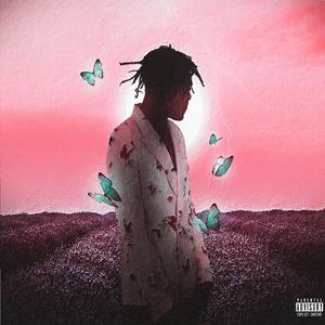 牛鞭弄入女人下身视频
