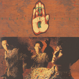 牛鞭弄入女人下身视频
