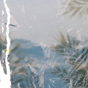 牛鞭弄入女人下身视频
