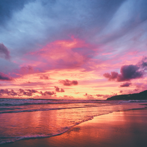 牛鞭弄入女人下身视频
