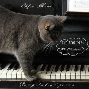 牛鞭弄入女人下身视频
